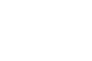 AMVO : La AMVO reúne a más de 550 empresas mexicanas e internacionales (startups, bricks, agencias y pure players) de los sectores de retail, moda, viajes, servicios financieros, entre otros, que buscan desarrollar su comercio electrónico y aplicar las mejores prácticas de la industria.