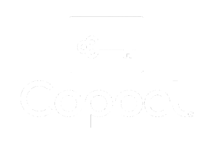 Coppel : Coppel es una tienda con enfoque omnicanal en la que se pueden encontrar productos de distintas categorías como hogar, electrodomésticos, ropa, calzado y mucho más. 